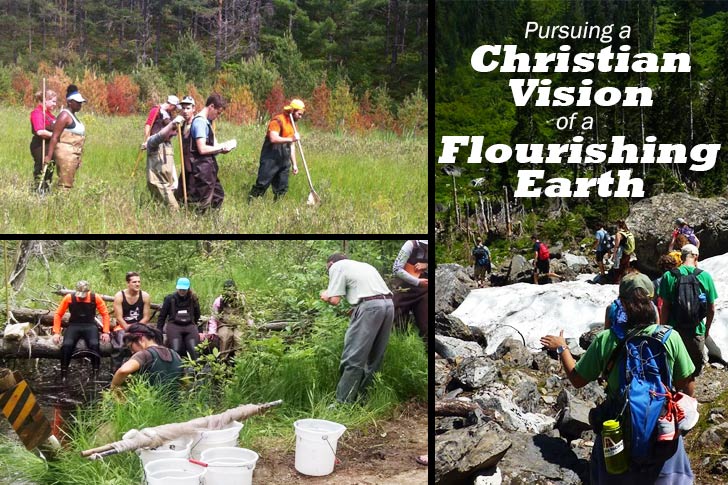 Picture of Pursuing a Christian Vision of a Flourishing Earth