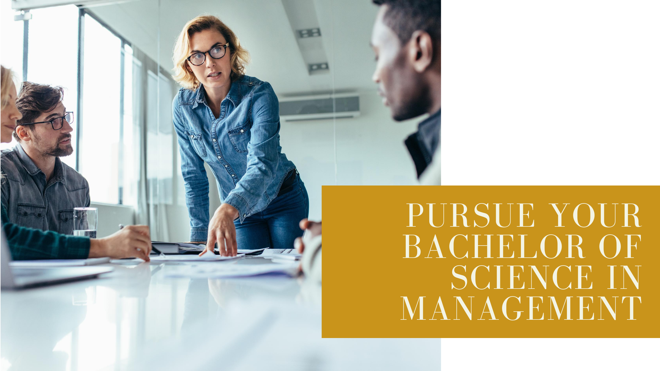 Picture of Compelling Reasons to Pursue Your Bachelor of Science in Management