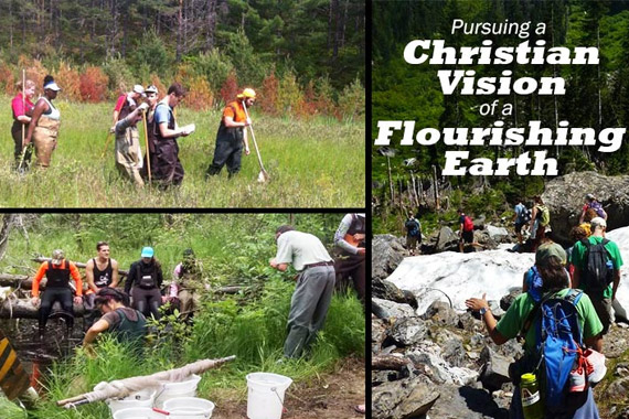 Picture of Pursuing a Christian Vision of a Flourishing Earth