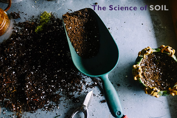 The Science of Soil: Geneva Provides Testing