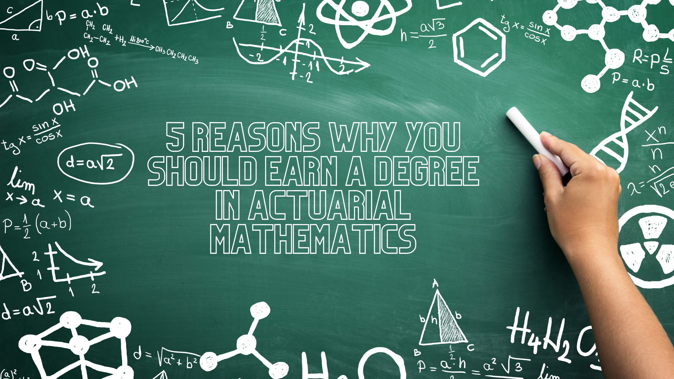 Image of 5 Reasons You Should Consider Earning a Degree in Actuarial Mathematics  