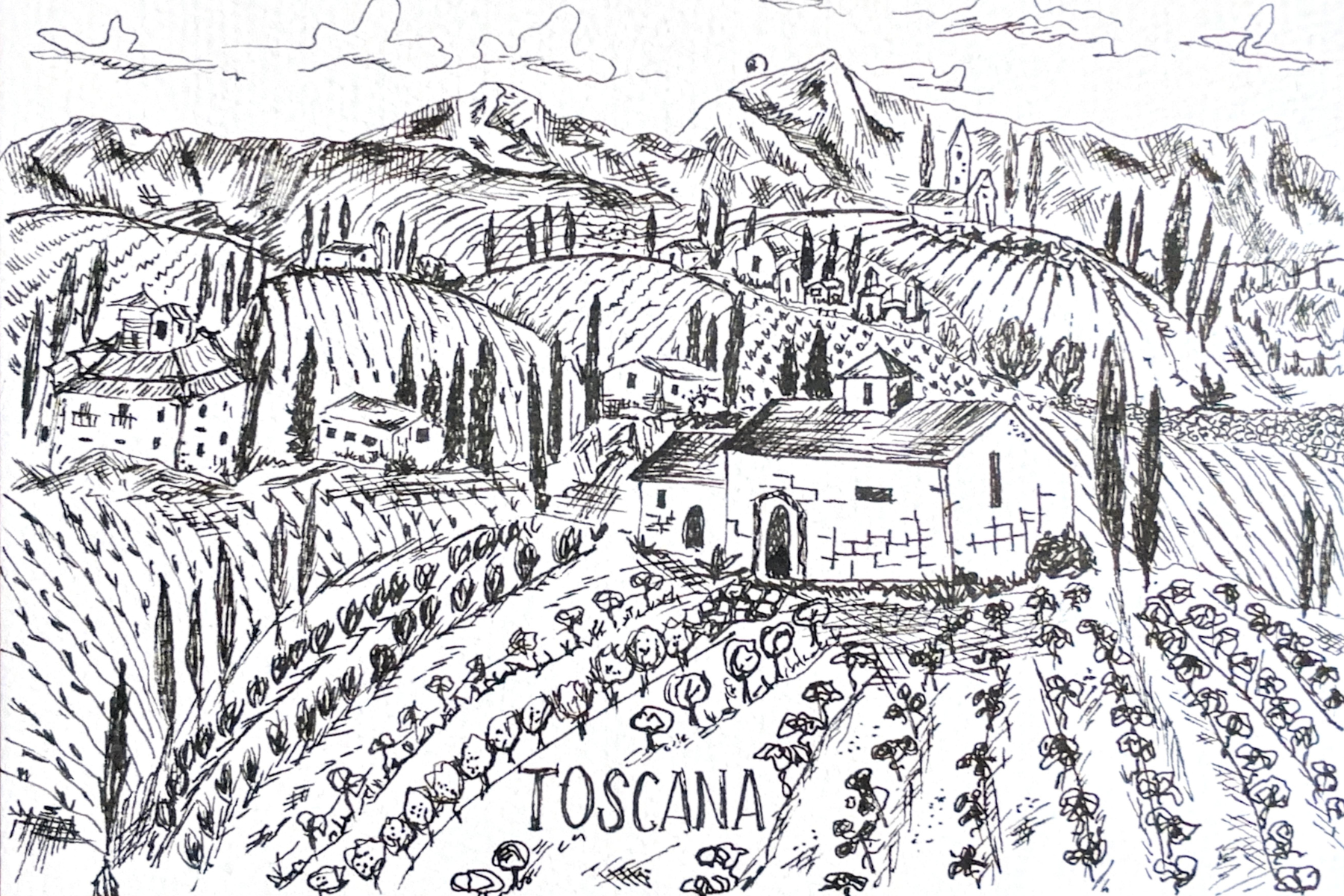 Toscana by Audrey McMahan '26