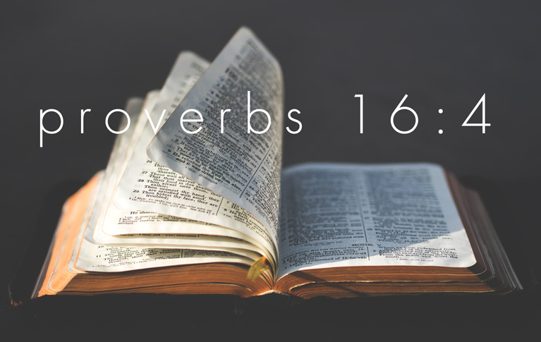 Article image for post on Proverbs 16:4