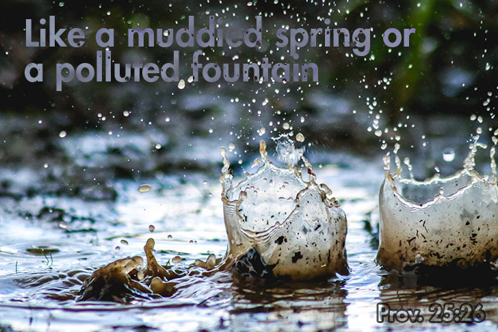Picture of Like a Muddied Spring or a Polluted Fountain