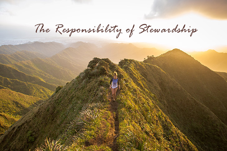 Picture of Best of  2020: The Responsibility of Stewardship