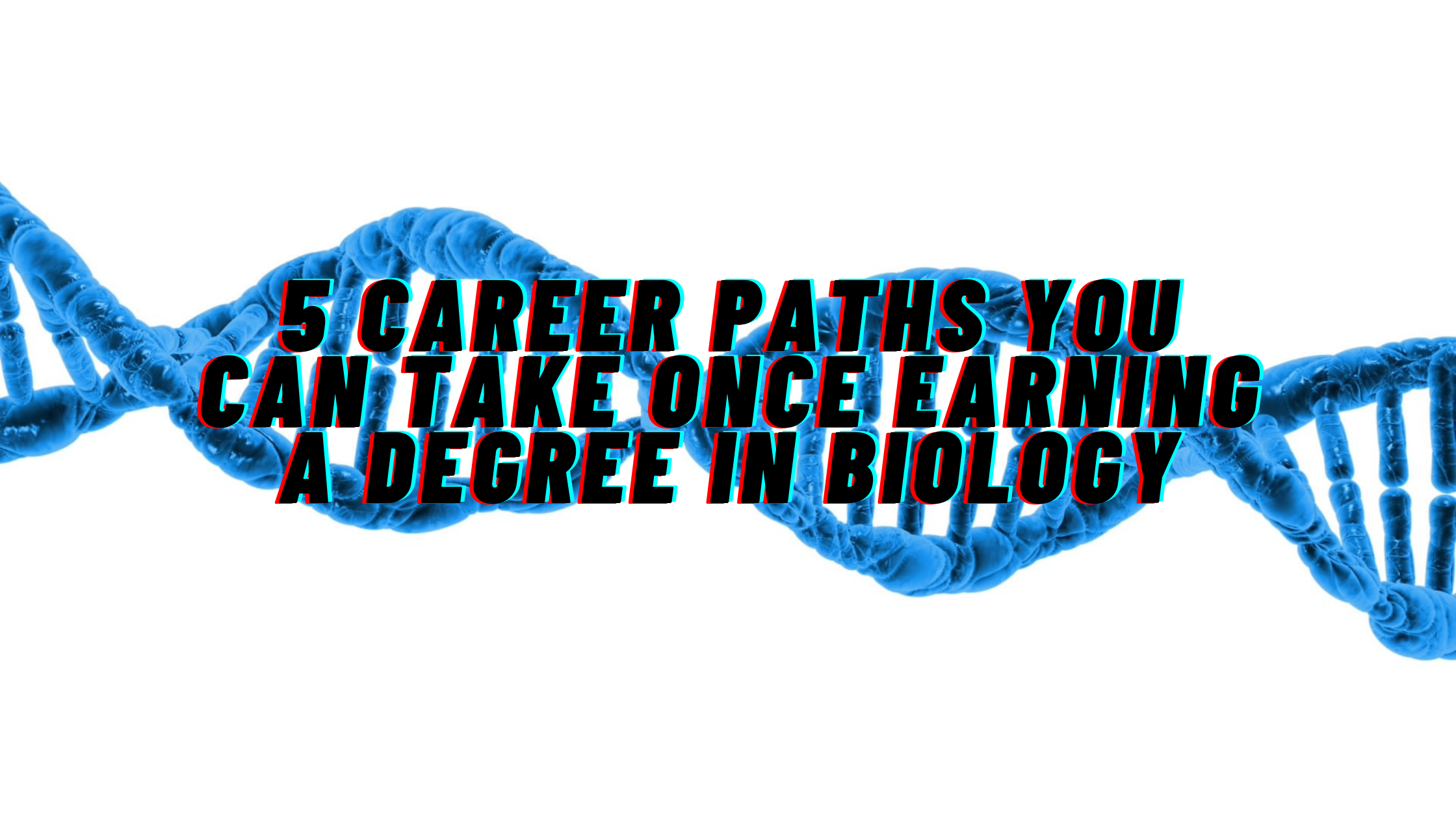 Image of 5 Popular Career Paths for Biology Grads  