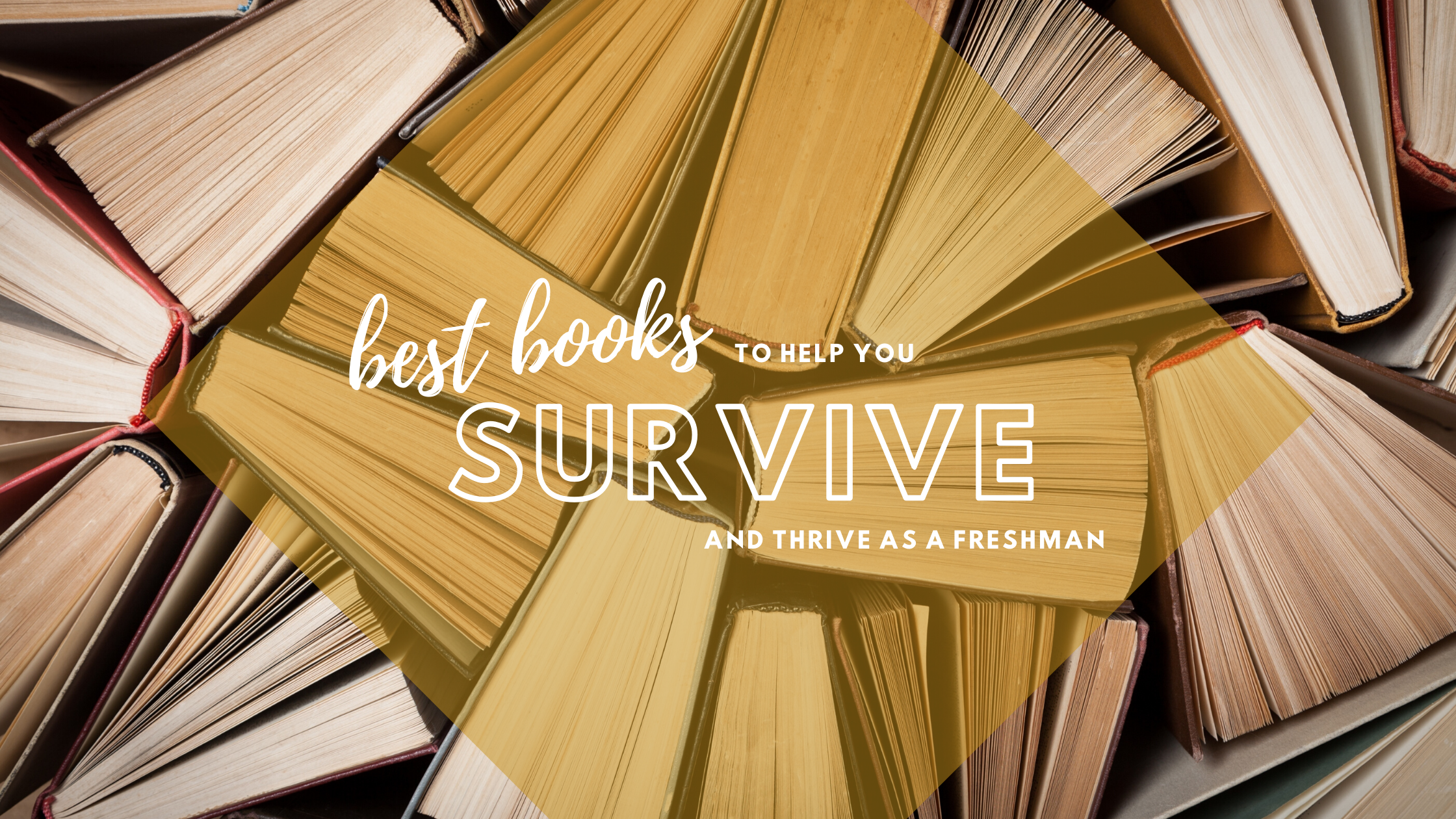 Picture of  The Best College Books to Help You Survive—and Thrive—as a Freshman