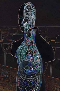 Honor God with your body.