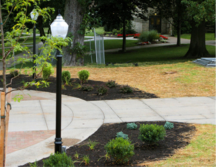 part of the new pedestrian plaza in the middle of campus