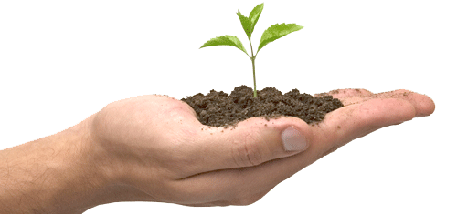 An invitation to have your soil analyzed.