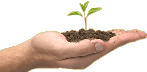 Geneva College is accepting soil samples beginning March 16, 2010.