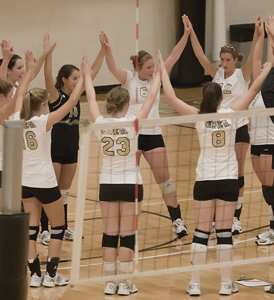 Geneva College volleyball team