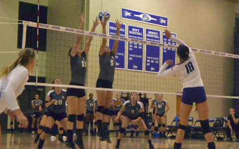 Picture of Costly errors lead to defeat at Mt. Union