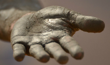 Image of the story's subject