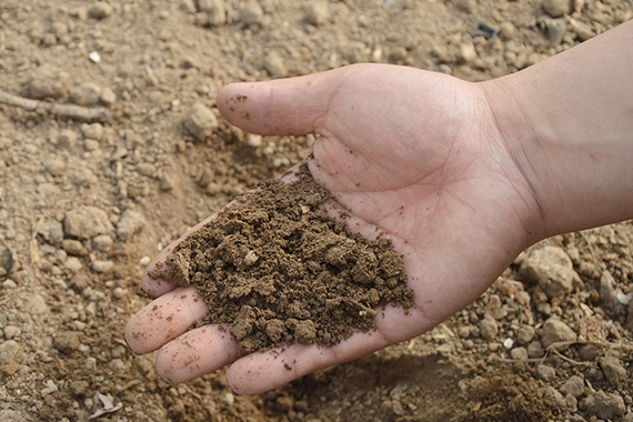 Geneva Chemistry Society Accepts Soil Test Samples