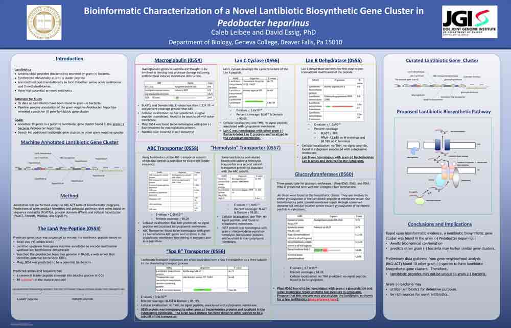Small Student Research Image