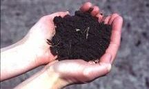 Picture of March 8, 2013