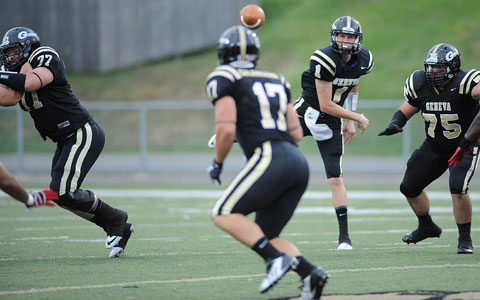 Geneva continues to have a rough time away from home as they were dealt a 31-14 loss from Waynesburg on Saturday.