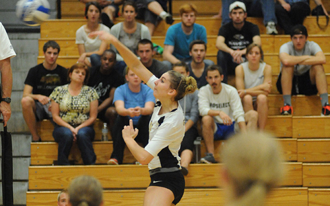 Picture of October 31, 2013