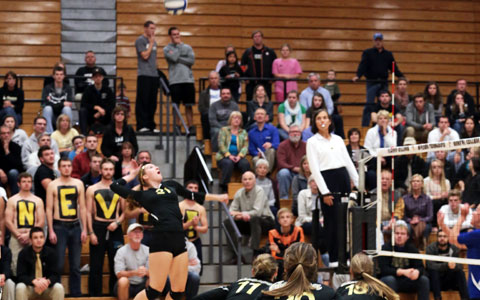 Volleyball rolls over St. Vincent 3-0