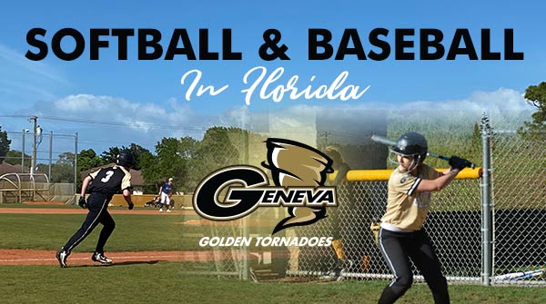 Softball and Baseball In Florida